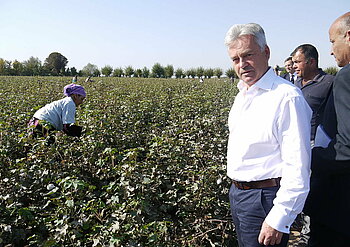 Baumwollanbau in Tadschikistan