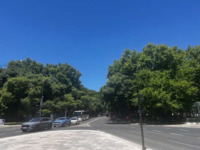Avenida da Liberdade in Lissabon Prachtstraße in Lissabon