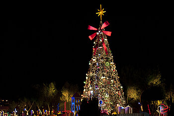 Weihnachtsbaum in Mexiko