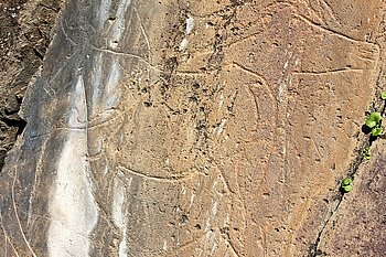 Petroglyphen