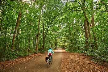 Niedersachsen Dienstleistungen