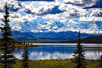 Landschaft in Alaska im Denali-Nationalpark