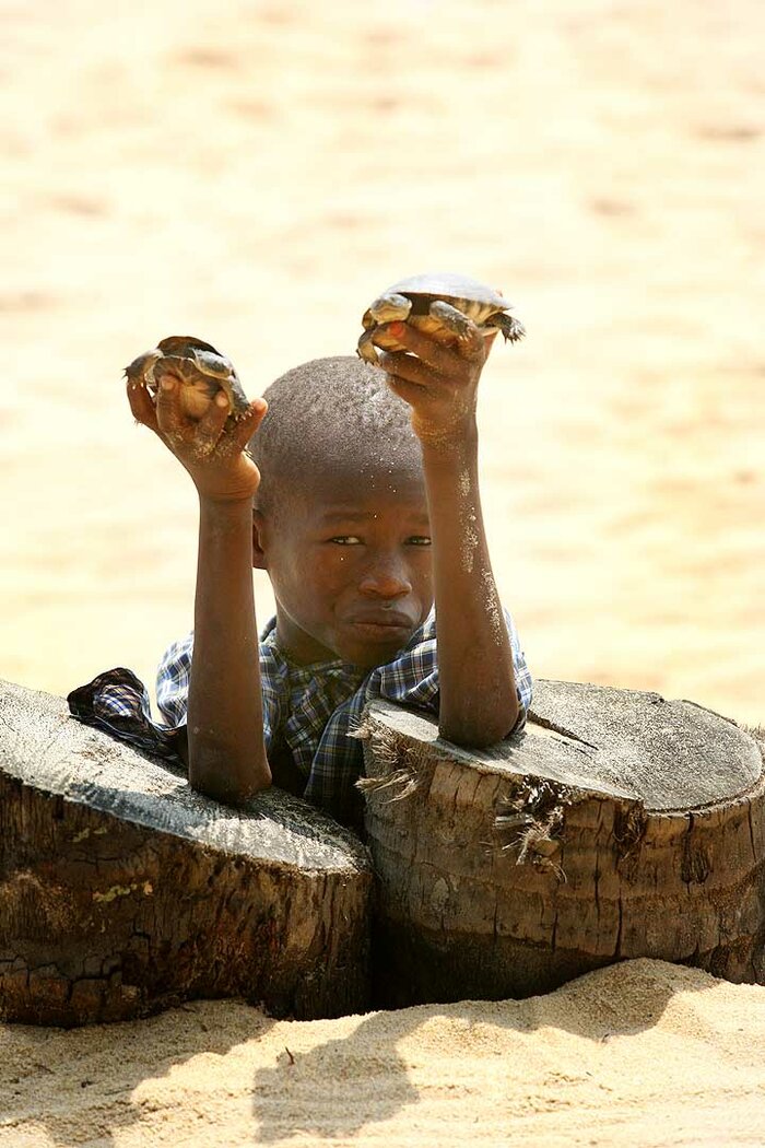 Junge von der Elfenbeinküste mit Schildkröten