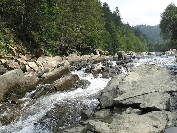 Gebirgsbach in den Waldkarpaten