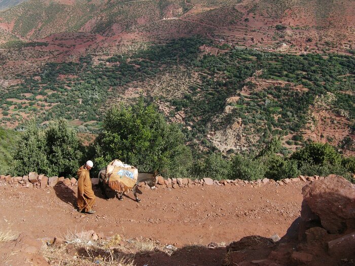 Marokkaner unterwegs mit seinem Esel