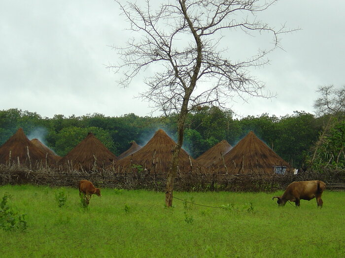 Dorf in der Savanne von Guinea-Bissau