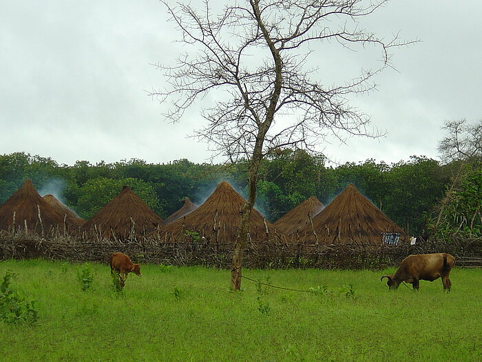 Dorf in der Savanne von Guinea-Bissau