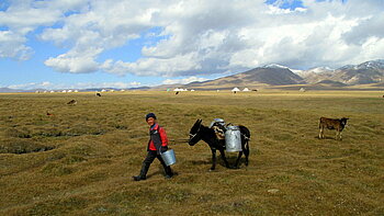 Kinderarbeit in Kirgisistan