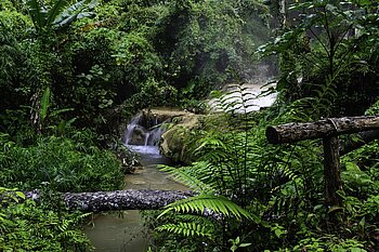 Luftfeuchtigkeit in Thailand