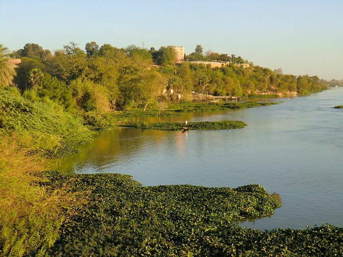 Ufer des Niger bei Niamey