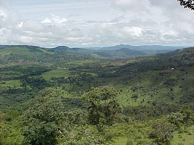 Guinea Land