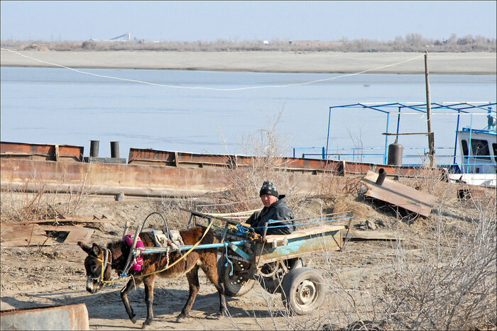 Eselkarren in Usbekistan