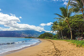 Strand und Palmen auf Hawaii