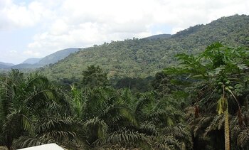 Nationalpark Monte Alén in Mbini