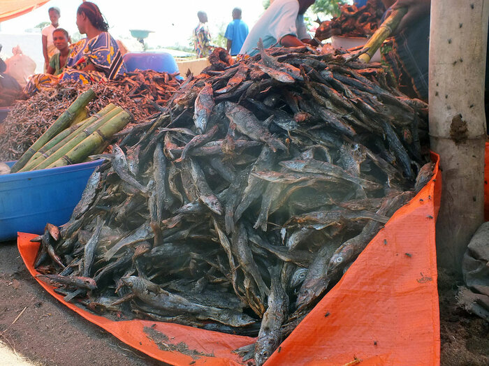 Fisch und Zuckerrohr auf einem Markt
