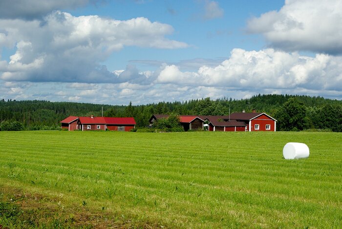 Felder in Finnland