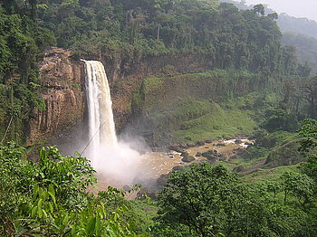 Ekom-Wasserfälle und Regenwald in Kamerun