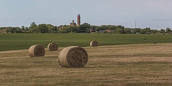 Heuballen auf Rügen