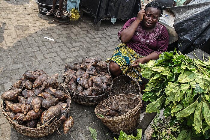 Schnecken aus Nigeria