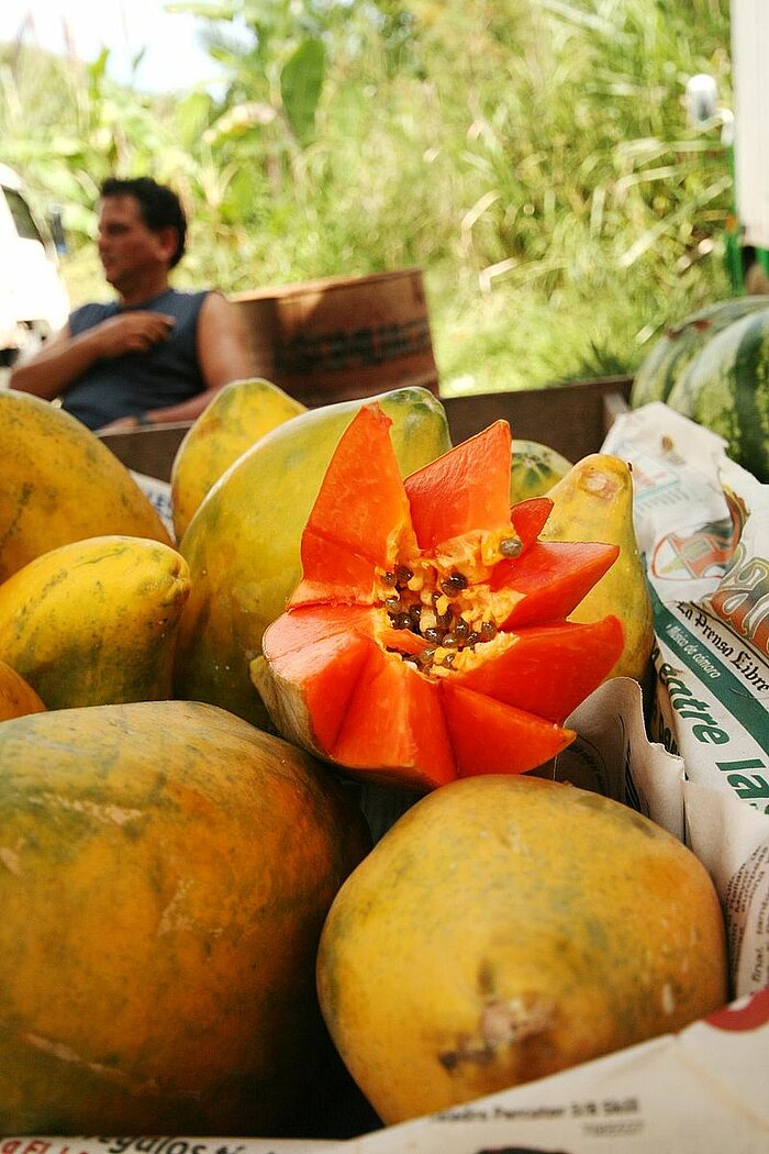 Papayastand in Costa Rica