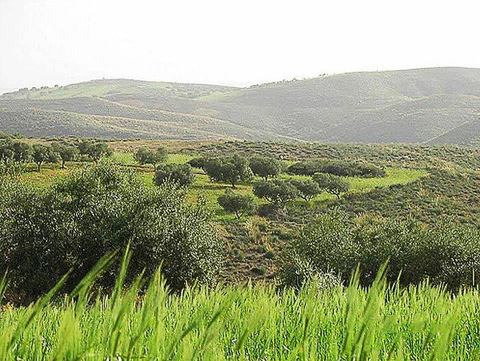 Grüne Berge in Libyen