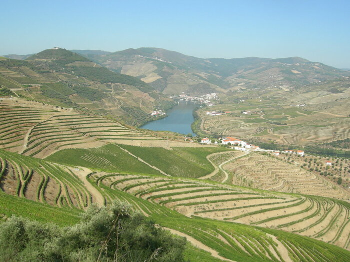 Weinbaugebiet Alto Douro