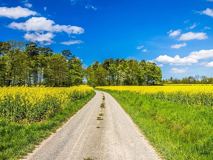 Frühling in Deutschland