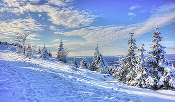 Verschneiter Harz