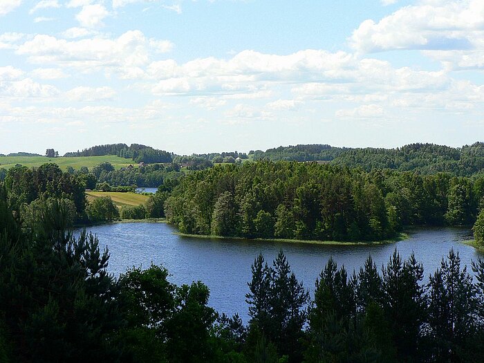 Natur im Nationalpark Aukstaitija