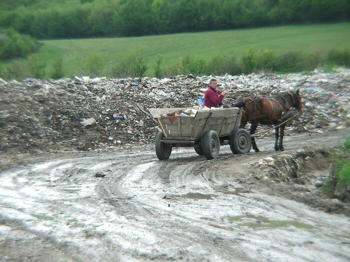 Pferdekarren unterwegs in Rumänien