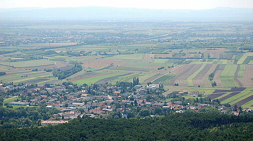 Blick vom Harzberg über die Gainfarner Bucht 