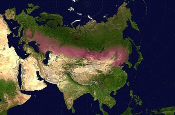 Eurasischer Steppengürtel
