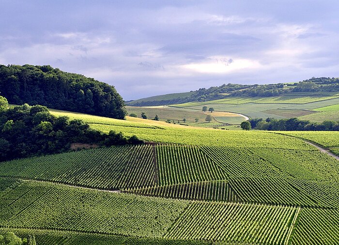 Gutland in Luxemburg