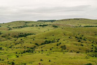 Uruguay: Landschaft Campo