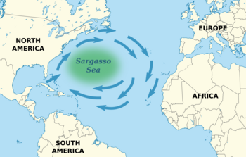 Sargassosee Sargassosee Karte