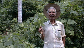 Landwirt aus Honduras Bananenrepublik