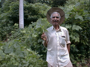 Landwirt aus Honduras