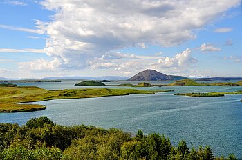 Myvatn Mückensee