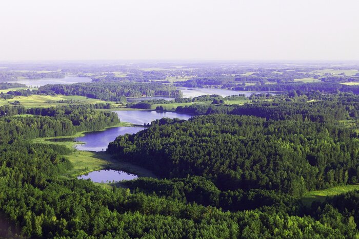 Wald und Flüsse in Litauen