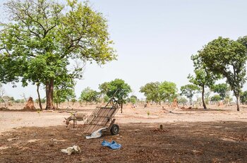 Trockenes Land in Gambia