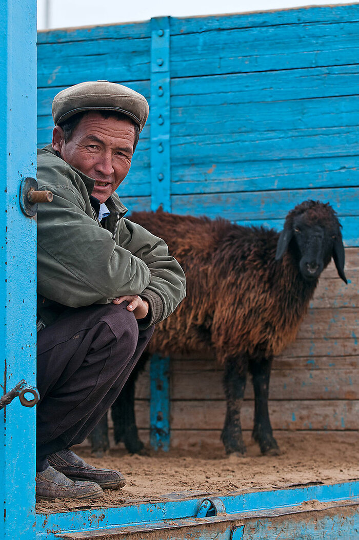 Schafverkäufer in Turkmenistan
