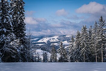 Schwarzwald Winter