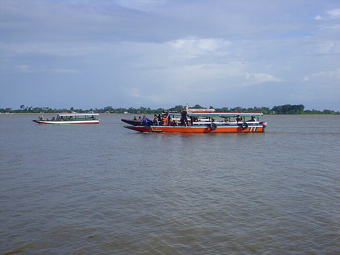 Delfinbeobachtung auf dem Suriname