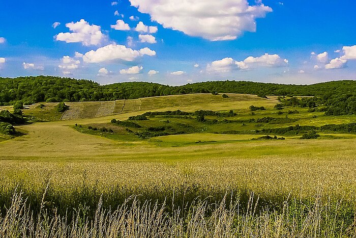 Landschaft in der Slowakei