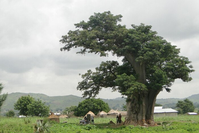 Ländliche Szene in Zebilla in der Upper East Region von Ghana