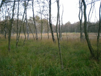 Naturschutzgebiete Hamburg