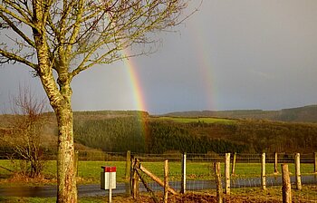 Regenbogen in Luxemburg