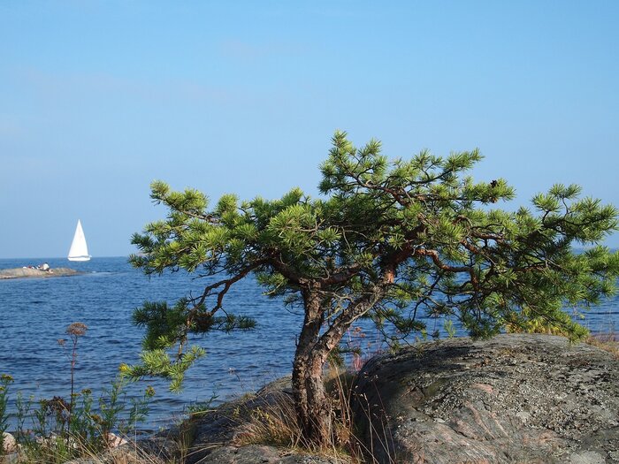 Küste Schwedens