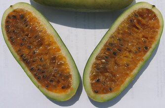 Exotische Früchte