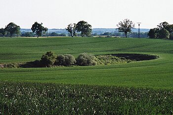 Soll in Mecklenburg-Vorpommern zwischen Penzlin und Peckatel